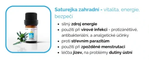 saturejka zahradní